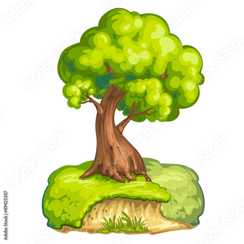 Illustration of a closeup tree