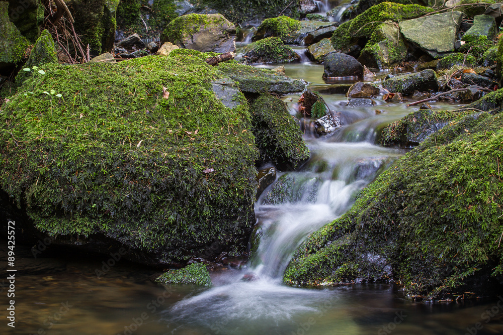 Fototapeta premium Water flowing over moss-covered rocks 