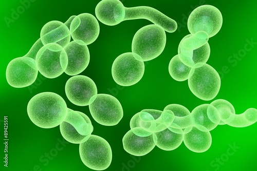 Digital illustration of fungi Candida albicans which cause candidiasis. Pathological fungus or yeast. Microscopic view. Medical background. Healthcare background