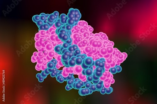 Fotografija Leptin, human obesity protein