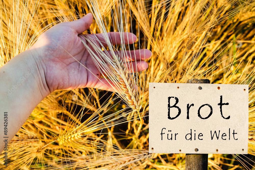 Brot Für Die Welt Und Ich : Material: Kita, Grundschule ...