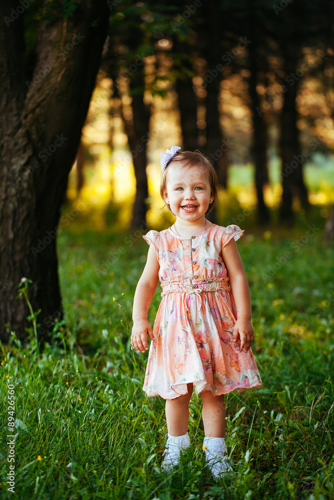 Cute little girl on the meadow in summer day. Cute little girl on the meadow in summer day.