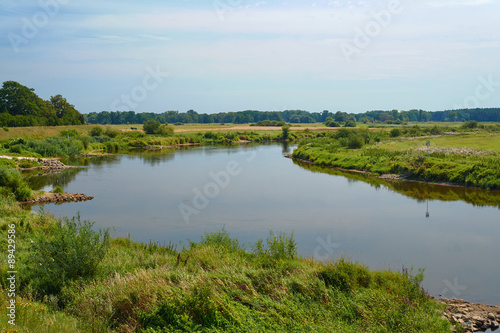 Meadow on the river Warta in summer in Poland.