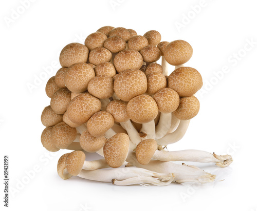 Brown beech mushrooms isolated on white background