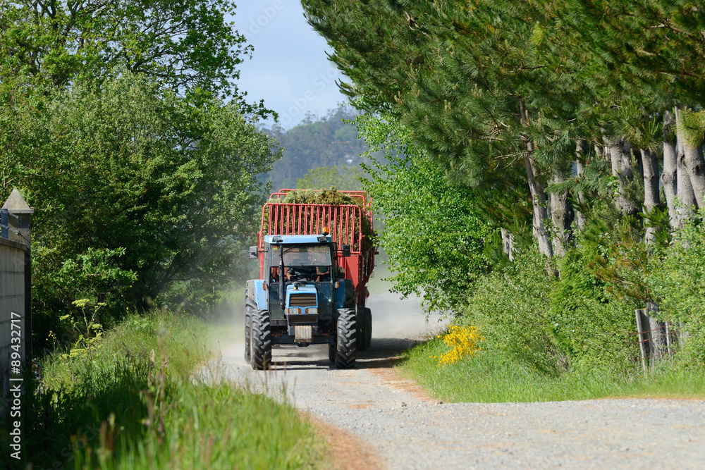 tractor carrying hay