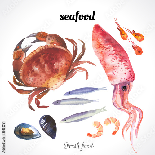 Watercolor illustration of a painting technique. Fresh organic food. Watercolor set of sea food with squid, crab, anchovies, shrimp and mussels drawn by hand on a white background.