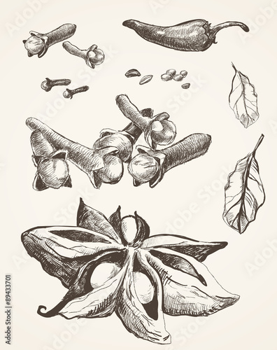 Vector of hand-drawed Illustration with spices.