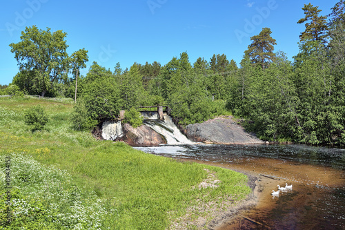 Summer landscape with waterfall Upper Koirinoja on the Koirinjoki river and three white geese, Karelia, Russia