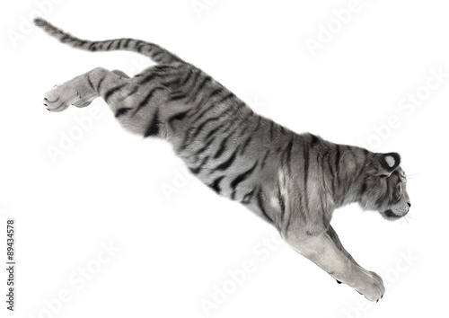 Fototapeta Naklejka Na Ścianę i Meble -  White Tiger