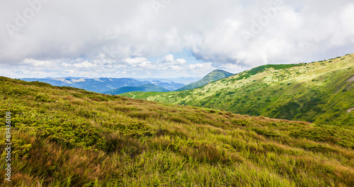 Carpathian landscape