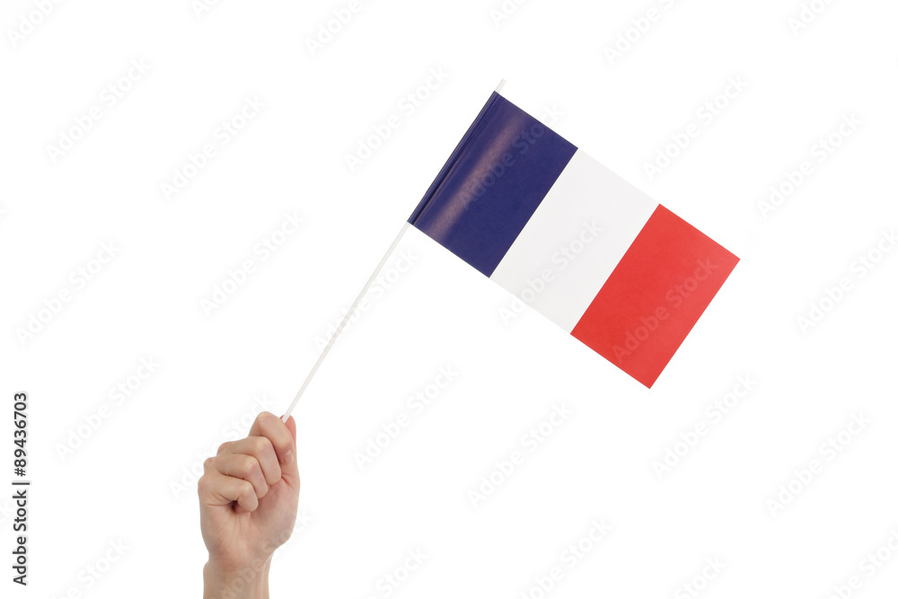 main femme tenant petit drapeau français Stock Photo