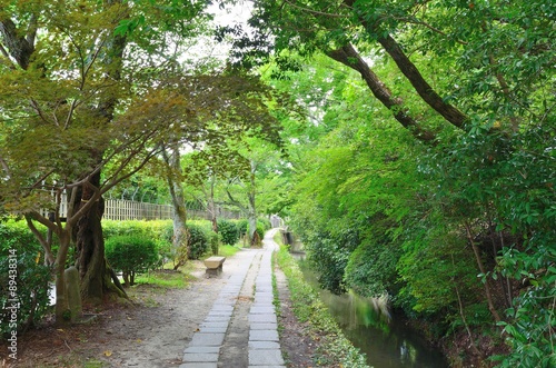 京都　哲学の道 © peia
