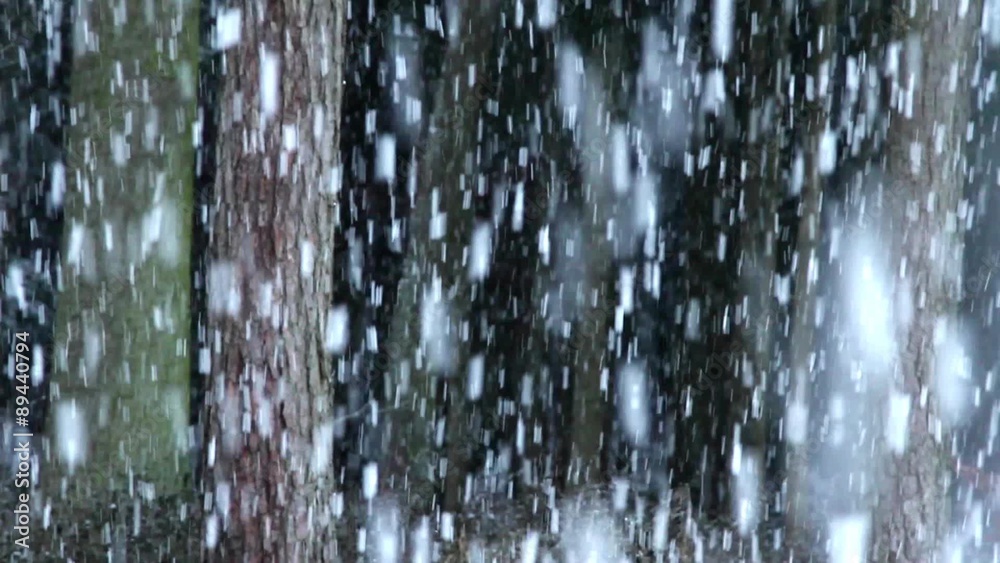 Snow is falling deep in the forest.
Snow is falling deep in the forest.