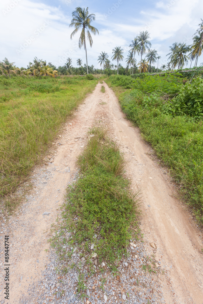 Road lane in countryside with grass and soil in sunny day