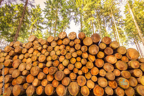 Holzstapel