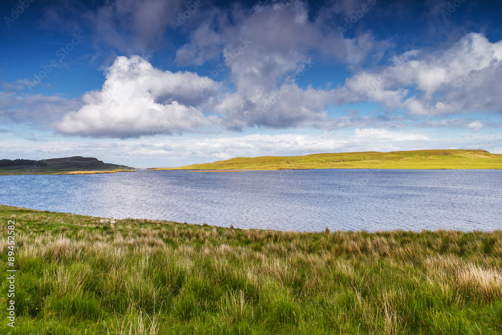Meadows and lake in Skye island, Scotland