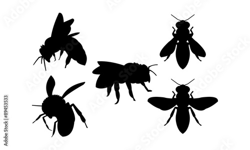 Bee and Wasp Vector Silhouette Set