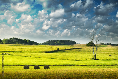 Green, illuminated meadow covered with blue sky and many clouds. Summer landscape.