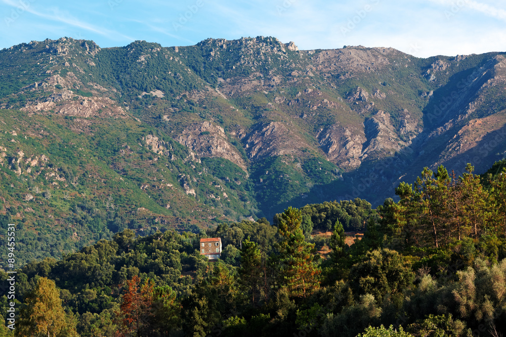 Fototapeta premium maison dans la vallée du Golo