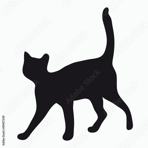 Silhouette of a cat