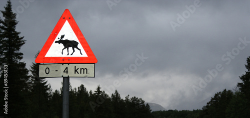 Traffic sign in norway, caution elk
