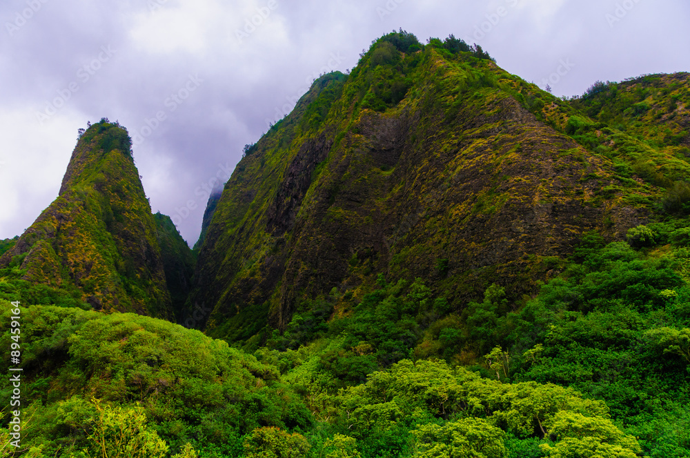 Fototapeta premium Overview of the Iao Needle State Park Maui Hawaii USA