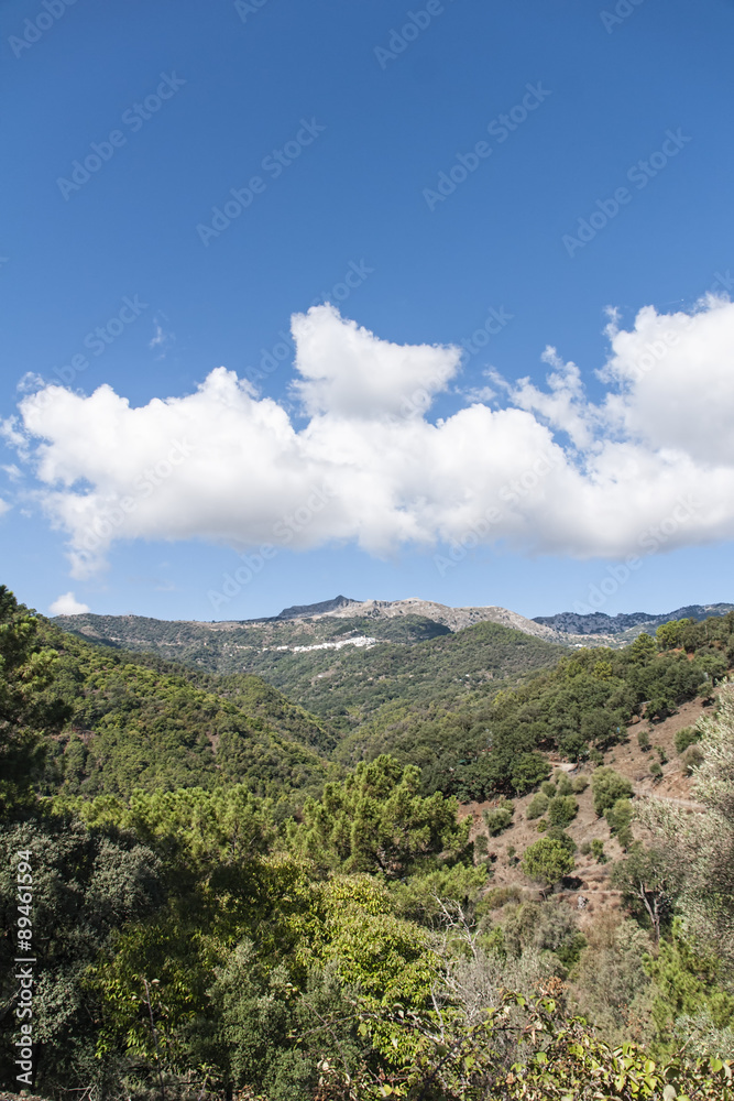 vistas del paisaje del valle del genal en la provincia de Málaga, Andalucía