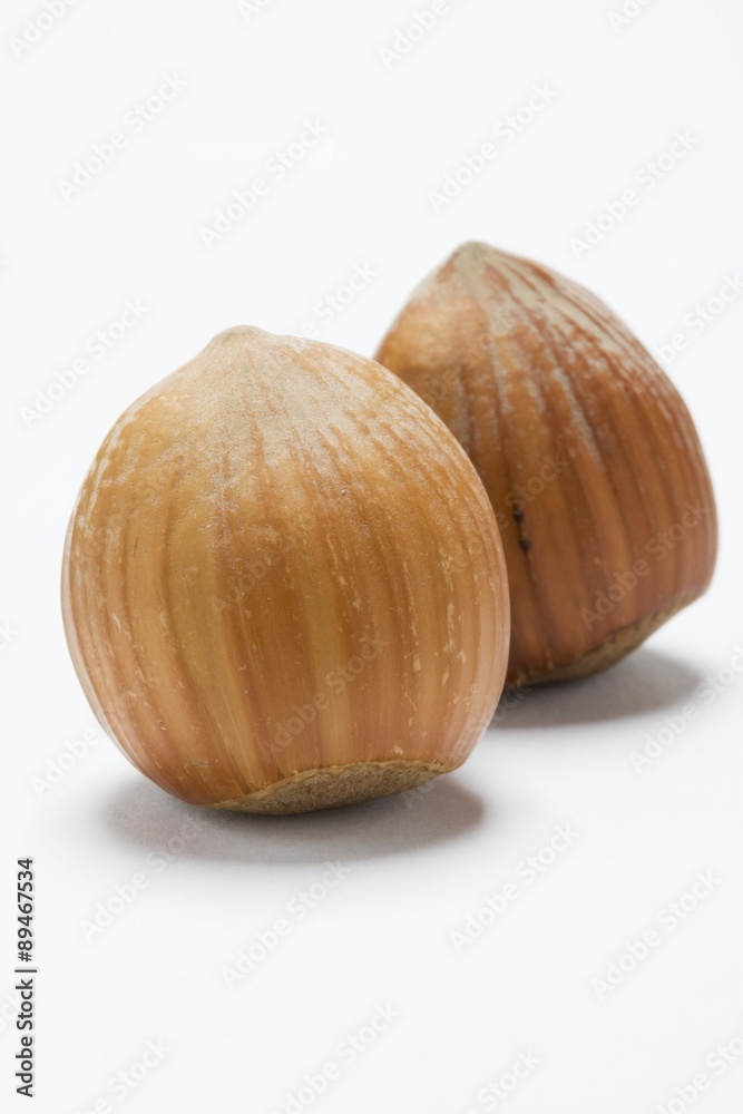 Two hazelnuts