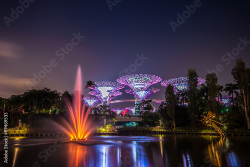 Supertree night Singapore park photo