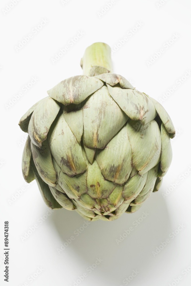 Obraz premium An artichoke