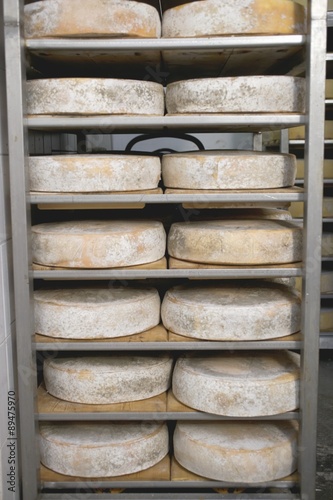 Cheeses stored in order of age