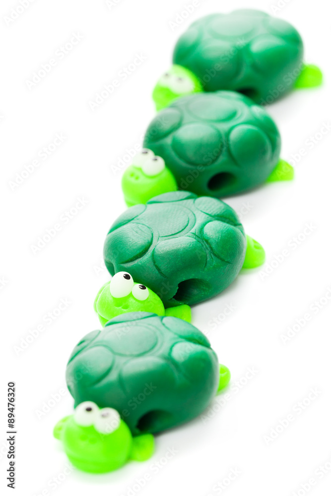 Obraz premium Turtles