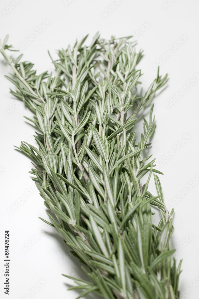 Fototapeta premium Fresh rosemary