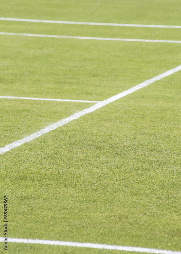 Fototapeta premium Grass Tennis Court