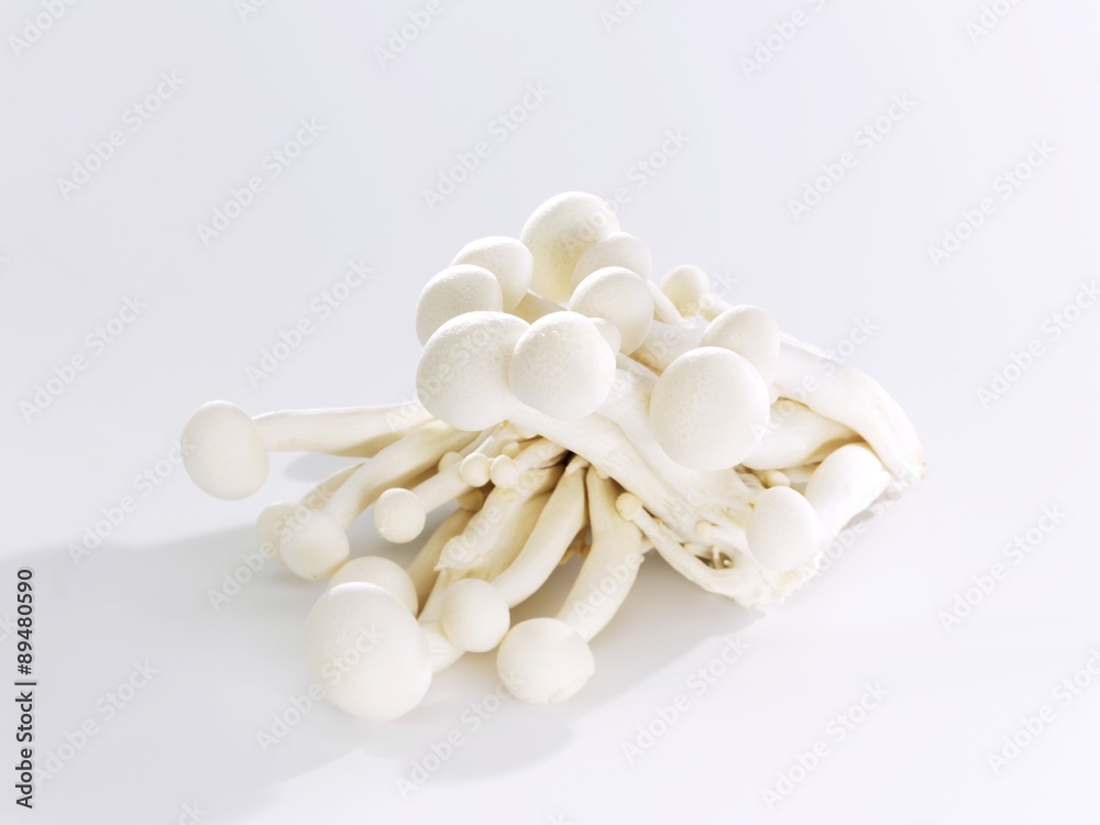 Shimeji mushrooms Shimeji mushrooms