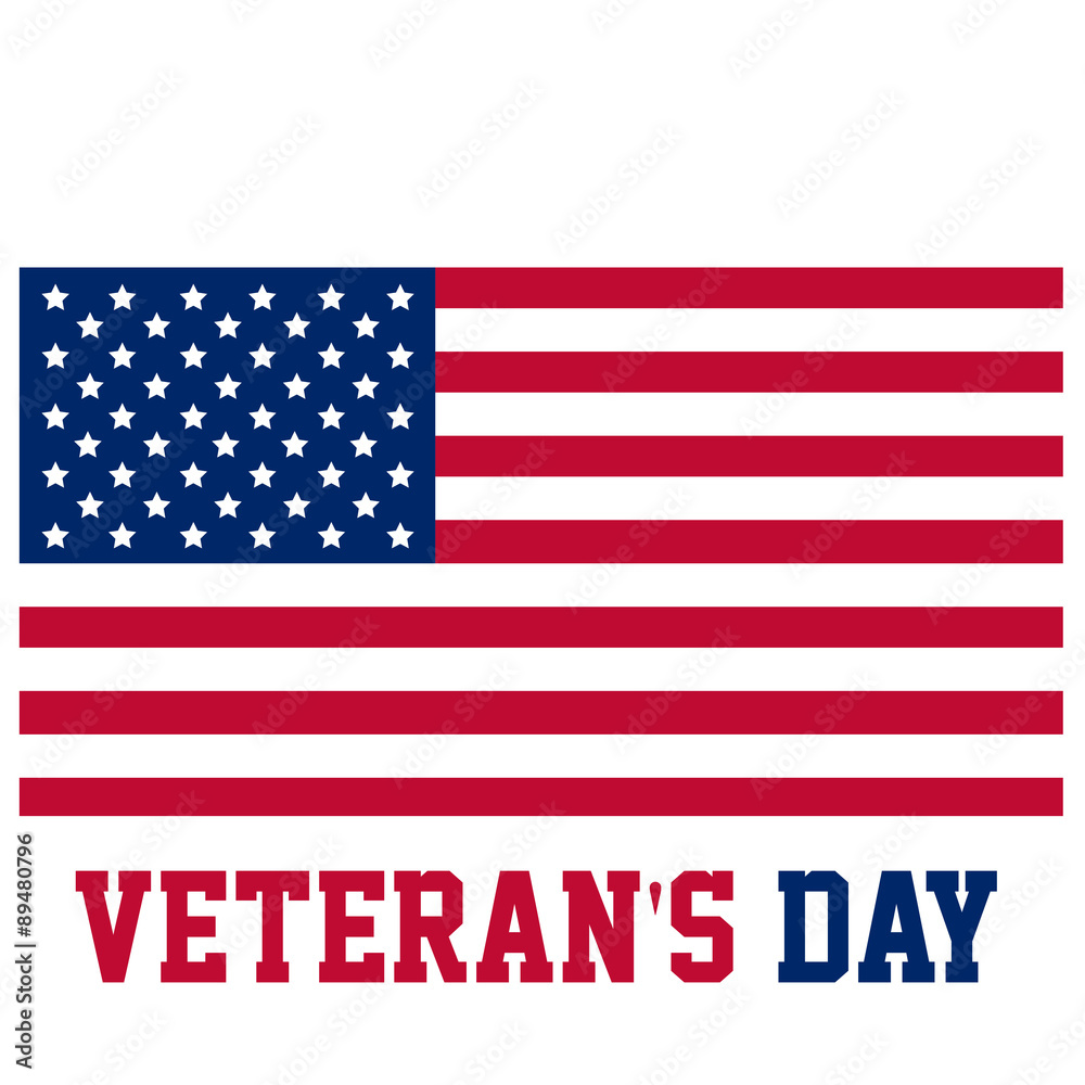 Obraz premium Veteran's day