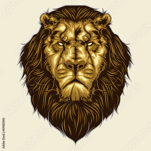 Fototapeta Naklejka Na Ścianę i Meble -  lion head mascot