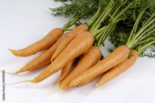 Fresh Bunch of Carrots with Greens on White Background
