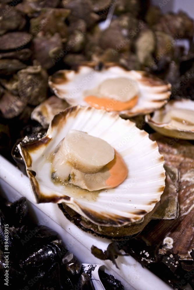Fresh scallops at a market (Libourne, France) Fresh scallops at a market (Libourne, France)