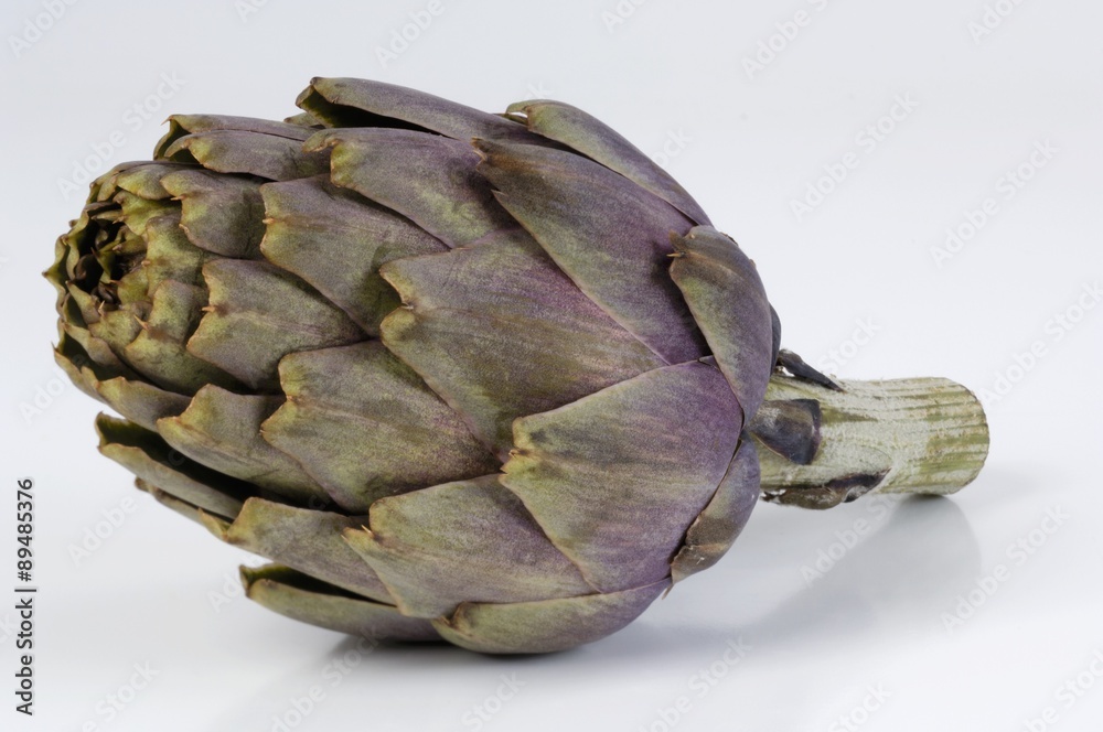 Obraz premium An artichoke