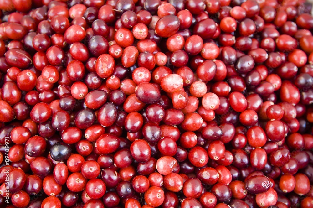 Cranberries Cranberries