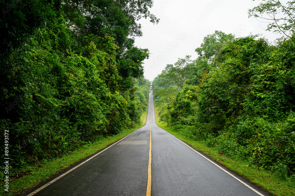 Forest road at Khaoyai National Park (The World Heritage of natu