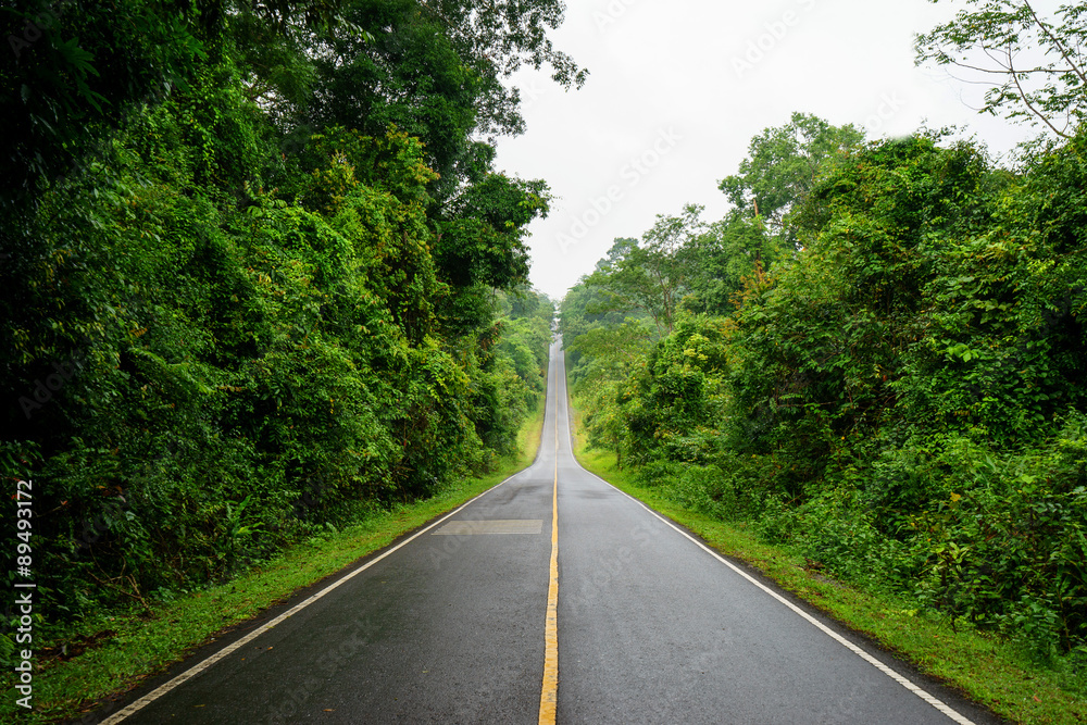 Obraz premium Forest road at Khaoyai National Park (The World Heritage of natu