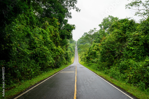 Forest road at Khaoyai National Park (The World Heritage of natu