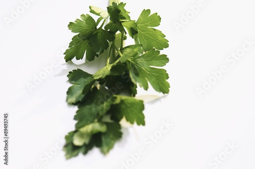 A sprig of flat-leaf parsley