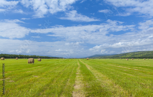 Round hay bales on the green field on Kamchatka