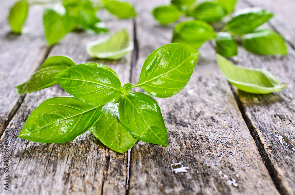 Fresh basil Fresh basil