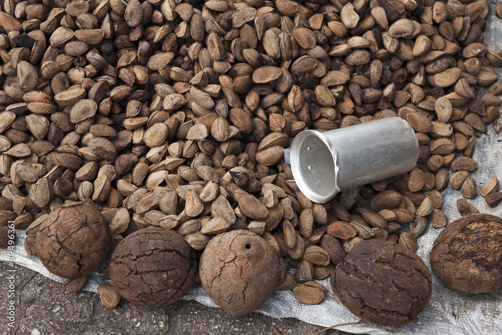 Batch of brazil nuts (Bertholletia excelsa), whole and unshelled, on a
