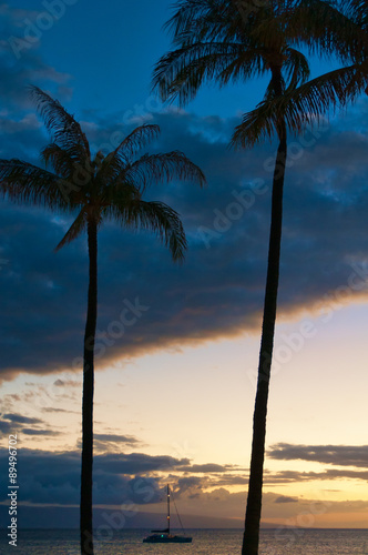 Palm trees on the beach at sunset  Maui  Hawaii  USA