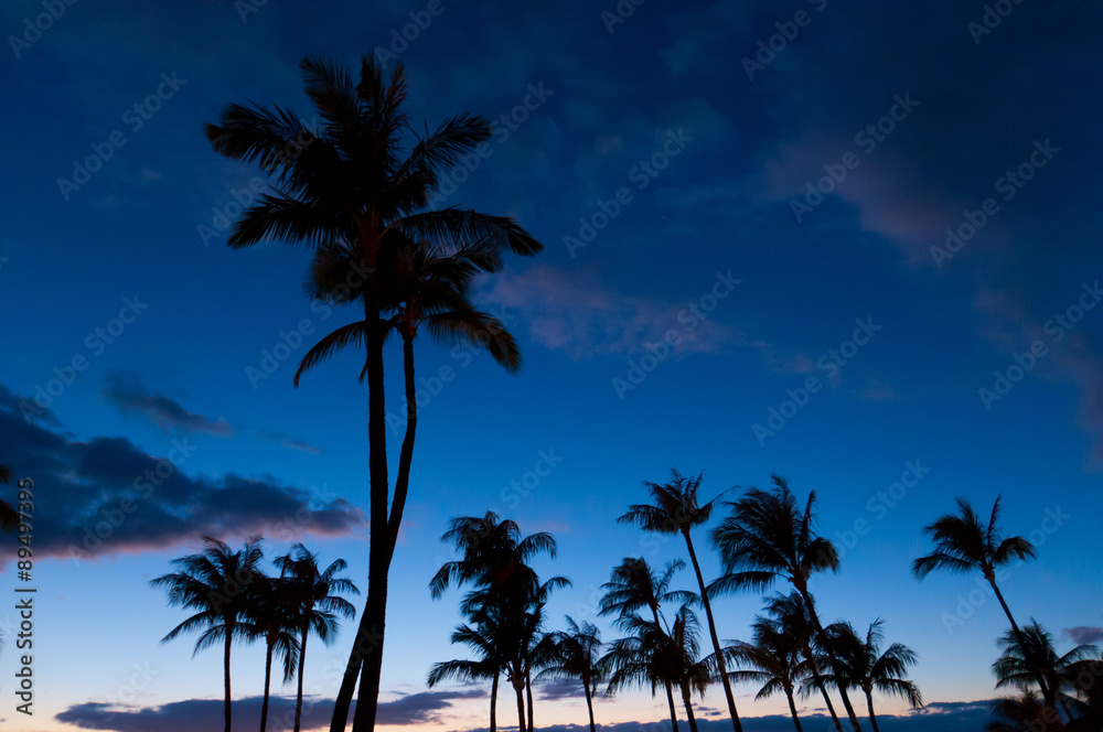Palm trees on the beach at sunset, Maui, Hawaii, USA